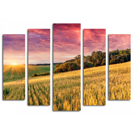 Модульная картина Пшеничное поле, восход солнца