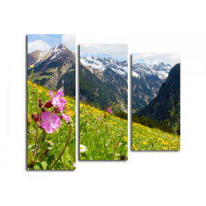 Модульная картина Austrian Alps, цветы