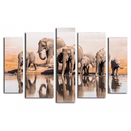 Модульная картина Африканские слоны